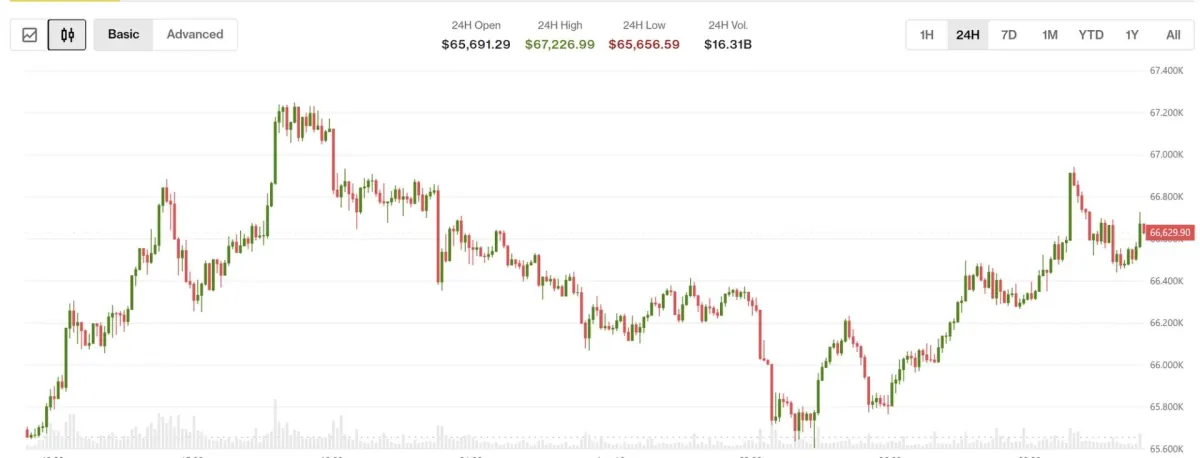 Bitcoin vượt 66.500 USD khi Nhật Bản tăng lãi suất