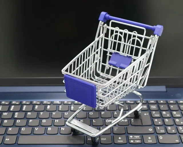 Cơ Hội Thương Mại Điện Tử Hàn Quốc: Coupang Inc. (CPNG) Cổ phiếu Tăng Trưởng Cao