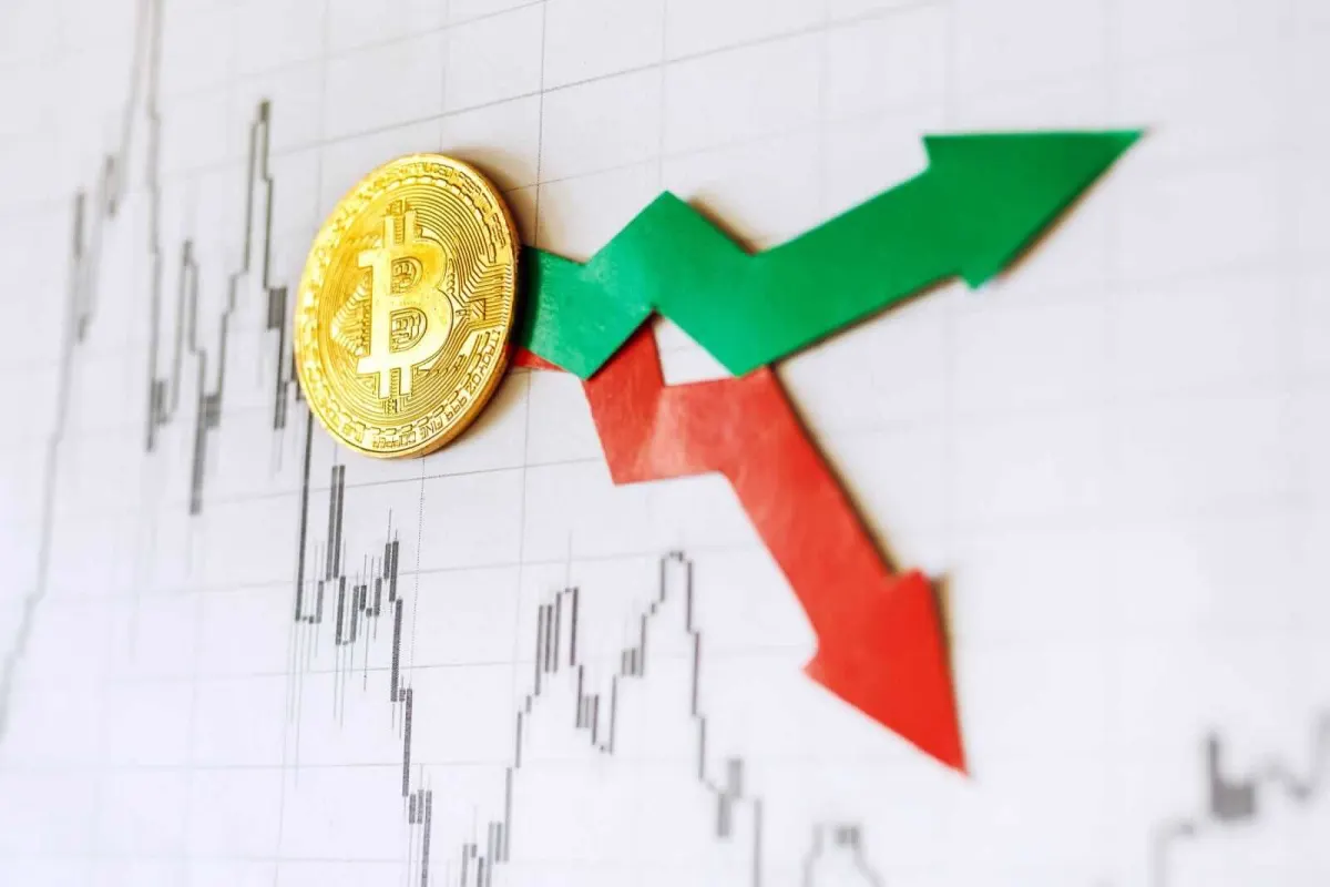 Ngừng ăn mừng Bitcoin phục hồi: 5 năm qua là 'tiền chết'