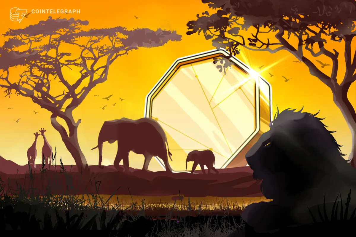 Zimbabwe chấp nhận 7 dự án fintech vào sandbox quy định