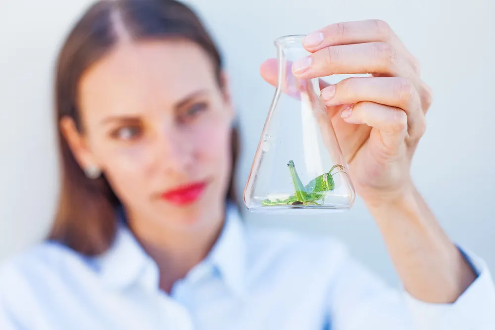Lumvoa của Viridian: Tiềm năng tăng trưởng mạnh