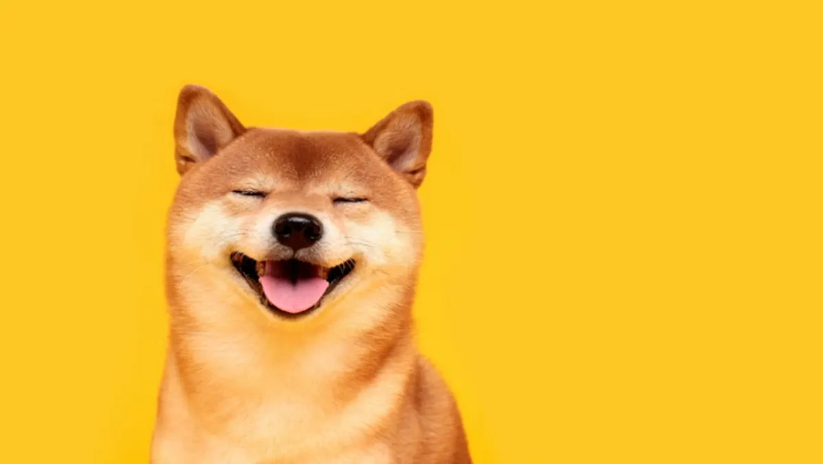 Shiba Inu tăng 36% nhờ nhà giao dịch Hàn Quốc