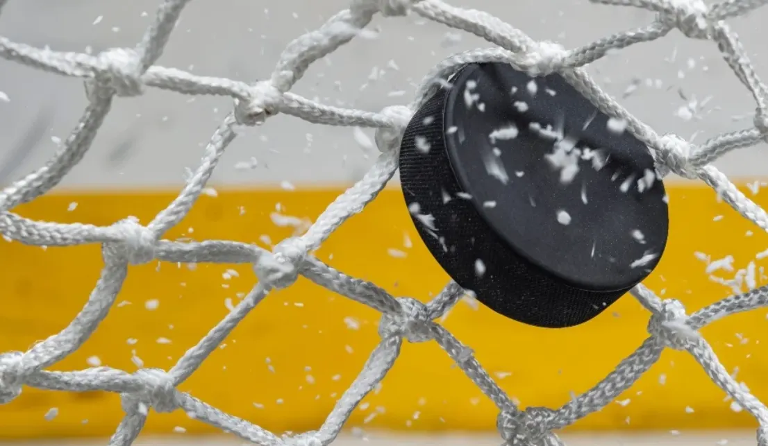 ETF NHL: Cơ Hội Đầu Tư Mới Hay Rủi Ro Ro? - SmartInvestor