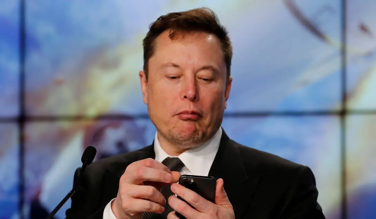 Musk mua Bitcoin và vàng thay vì Twitter: Giá trị hiện tại?