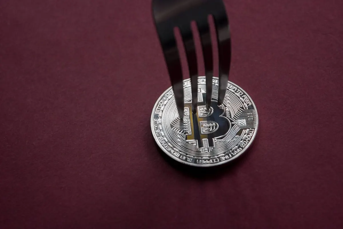Cảnh báo: Bán coin BIP‑110 fork có thể mất BTC thực
