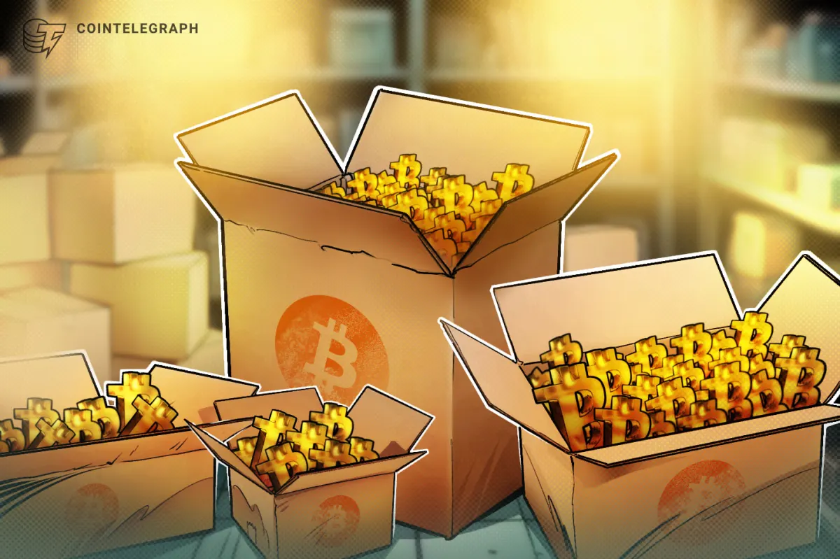 Bitcoin Tìm Hỗ Trợ $77K: BTC & Vàng Gần Đỉnh 100 Ngày