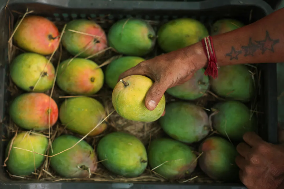 Từ FAANG đến MANGOS - Phố Wall tìm kiếm 'Magnificent 7' mới
