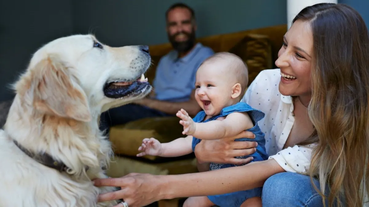 Vay cá nhân thu nhập thấp: Giải pháp cho ngân sách eo hẹp