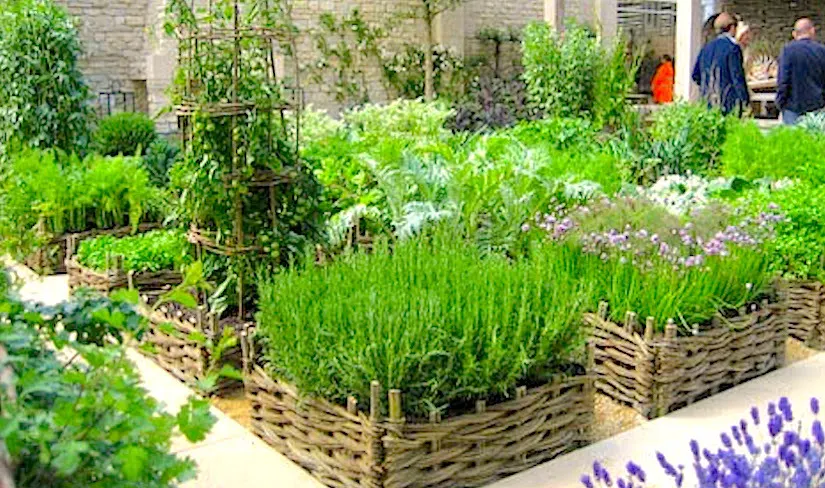 Cổ phiếu Home Depot vẫn vững vàng bất chấp thị trường cải thiện nhà cửa u ám