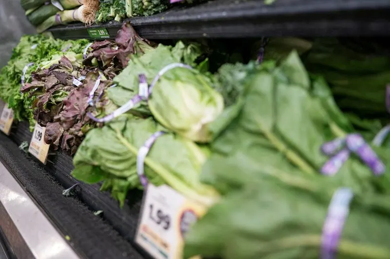 Sweetgreen giảm dự báo doanh thu, cổ phiếu lao dốc 15%
