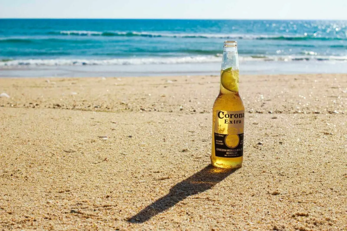 Dự báo kết quả Q1/2027 của Constellation Brands (STZ)