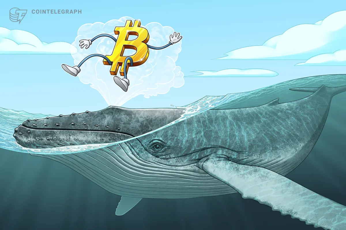 Cá voi crypto tích lũy khi thị trường giảm giá cuối