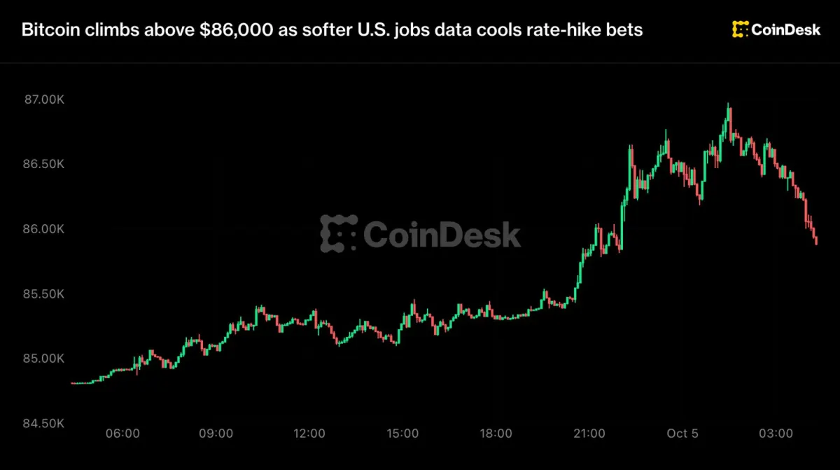 Bitcoin áp sát mốc 87.000 USD rồi bất ngờ đảo chiều