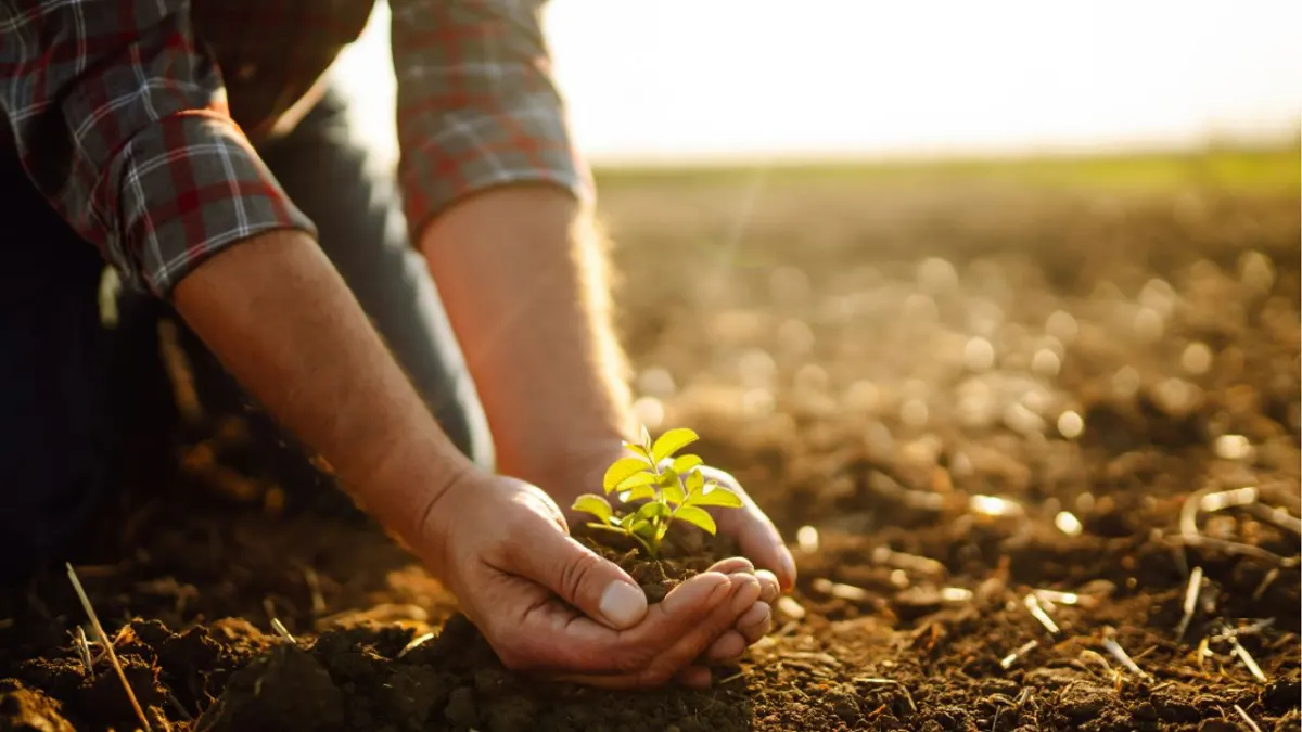 Replenish Nutrients nhận 15M USD mở rộng Alberta