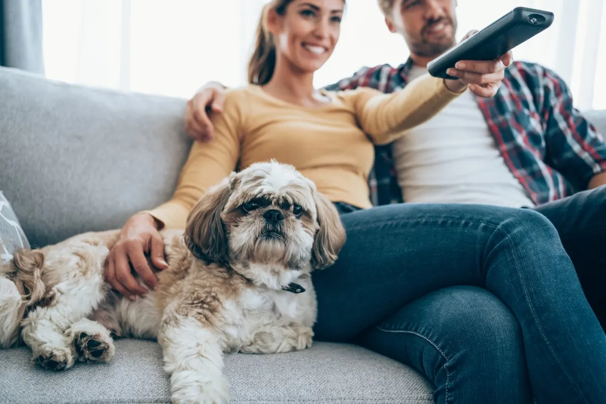 Cổ phiếu Roku tăng vọt 20%: Vì sao chưa nên bán?
