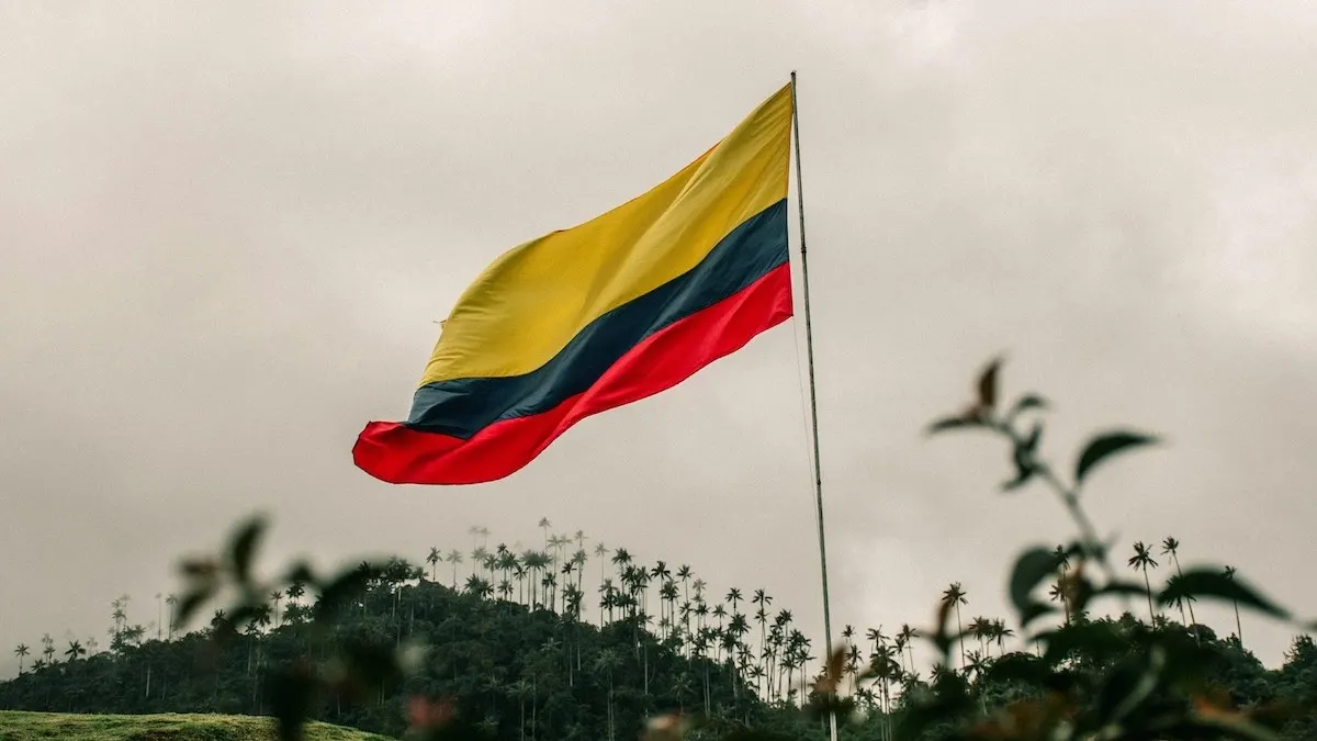 Doanh thu cocaine Colombia vượt xuất khẩu dầu mỏ